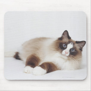 Reclining Cat Mouse Pad