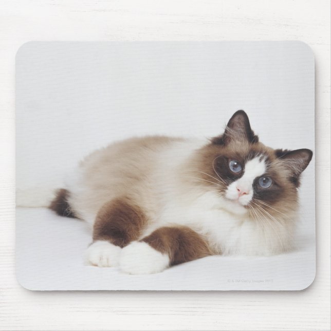 Reclining Cat Mouse Pad (Front)
