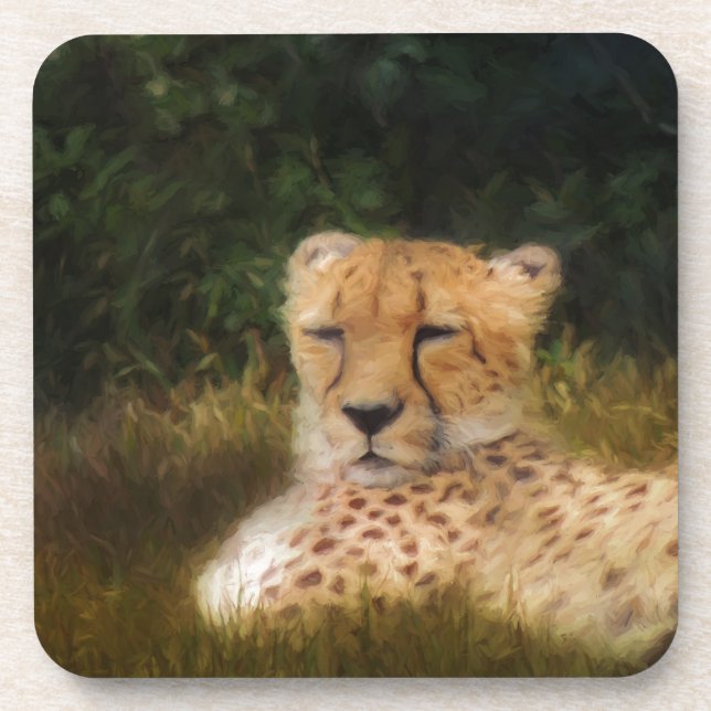 Reclining Cheetah at Fossil Rim Wildlife Centre Coaster (Front)