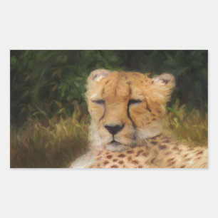 Reclining Cheetah at Fossil Rim Wildlife Centre Rectangular Sticker