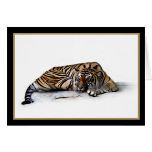 Reclining Tiger Blank Card