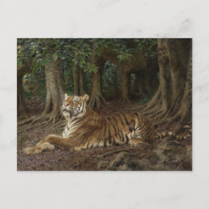 Reclining Tiger by Geza Vastagh Postcard