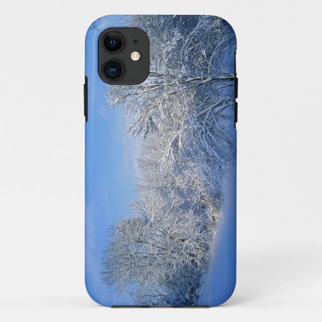 Record snow in Louisville, Kentucky. Case-Mate iPhone Case (Back)