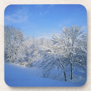 Record snow in Louisville, Kentucky. Coaster