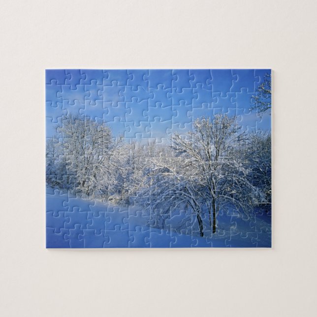 Record snow in Louisville, Kentucky. Jigsaw Puzzle (Horizontal)