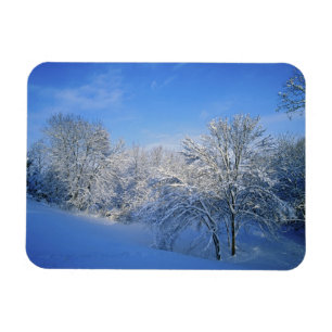 Record snow in Louisville, Kentucky. Magnet