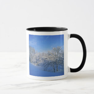 Record snow in Louisville, Kentucky. Mug