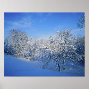 Record snow in Louisville, Kentucky. Poster
