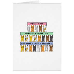 Recovery After an Operation Cartoon Cats