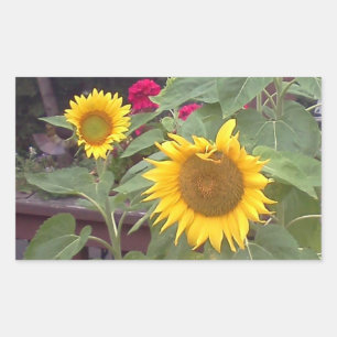 Rectangle sticker with 2 sunflowers