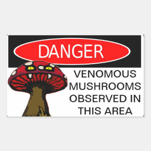 Rectangle Stickers