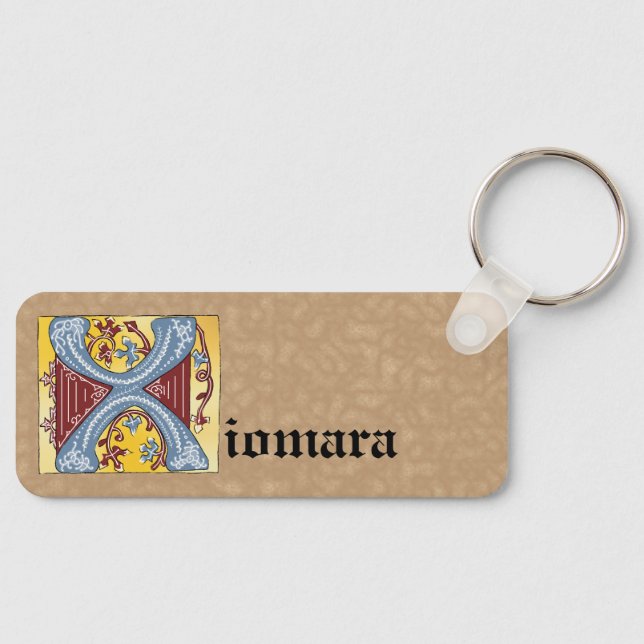 Rectangular Blue and Red Ivy Illuminated Letter X  Key Ring (Front)