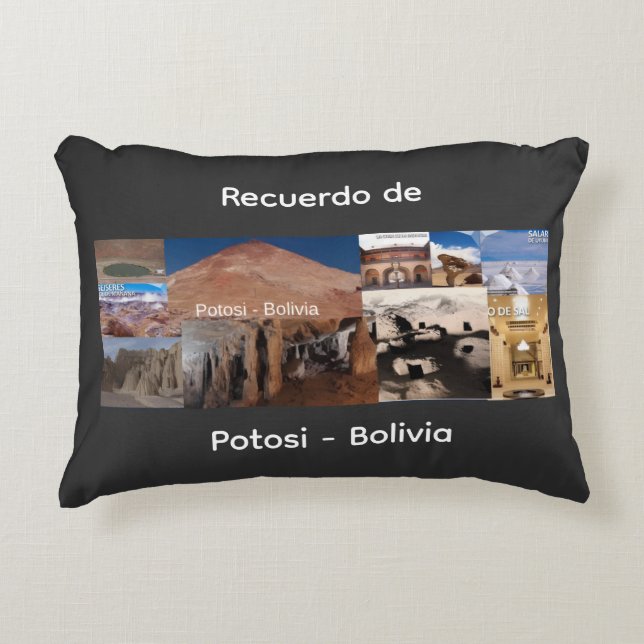 Recuerdo de Potosi Bolivia Decorative Cushion (Front)