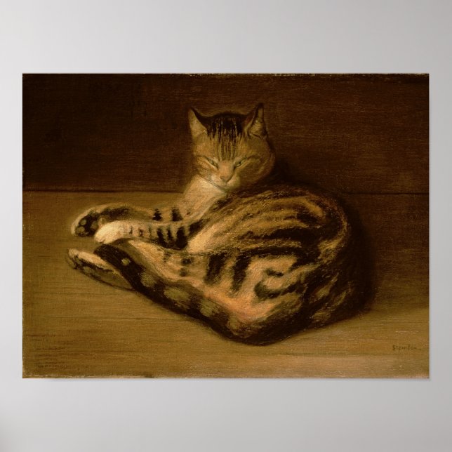 Recumbent Cat, 1898 Poster (Front)