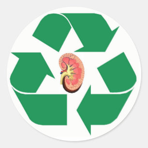 Recycle kidney classic round sticker