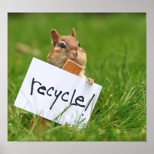 Recycling chipmunk poster