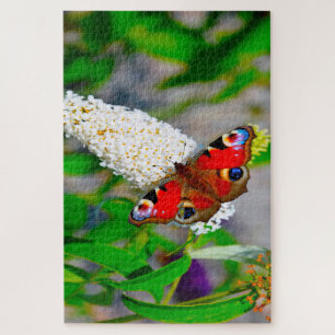 Red Admiral Butterflies. Jigsaw Puzzle