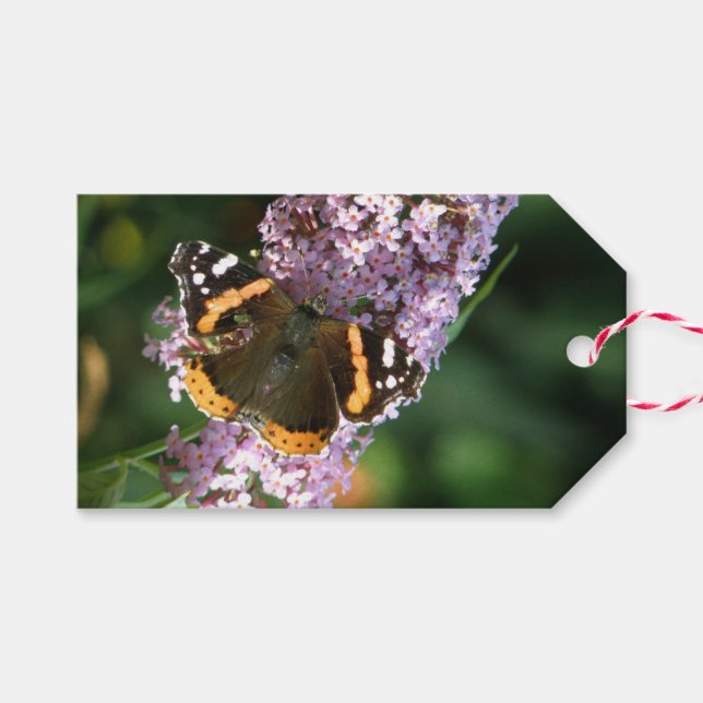 Red Admiral Butterfly and Buddleia Custom Gift Tag (Front (Horizontal))