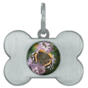 Red Admiral Butterfly and Buddleia Pet Tag