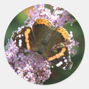 Red Admiral Butterfly and Buddleia Stickers