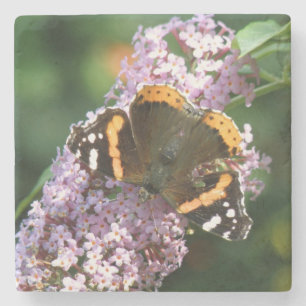 Red Admiral Butterfly and Buddleia Stone Coaster