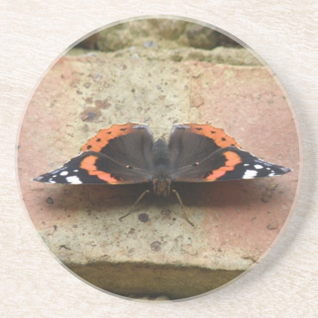 Red Admiral Butterfly Coasters (Front)
