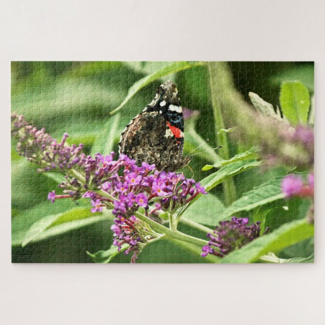 Red Admiral Butterfly Jigsaw Puzzle (Horizontal)