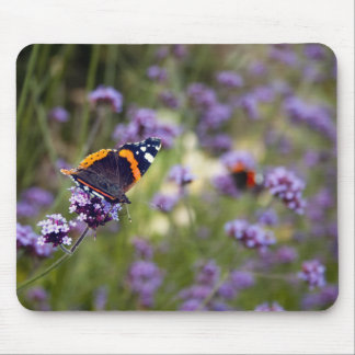 Red Admiral Butterfly Mouse Pad