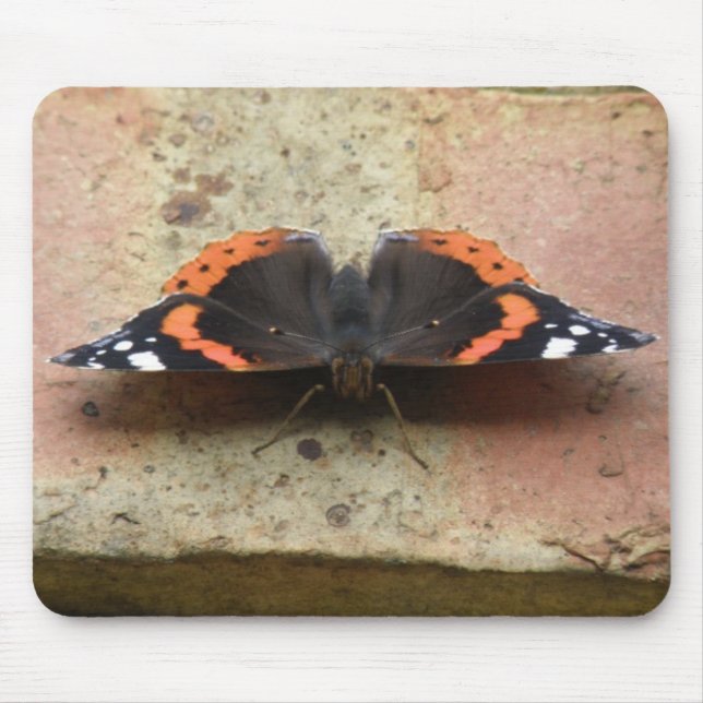 Red Admiral Butterfly Mousepad (Front)