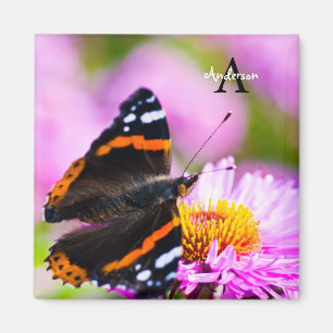 Red Admiral butterfly on a flower Magnet