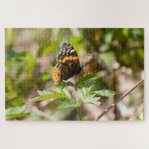 Red Admiral Butterfly Pacific Northwest Jigsaw Puzzle