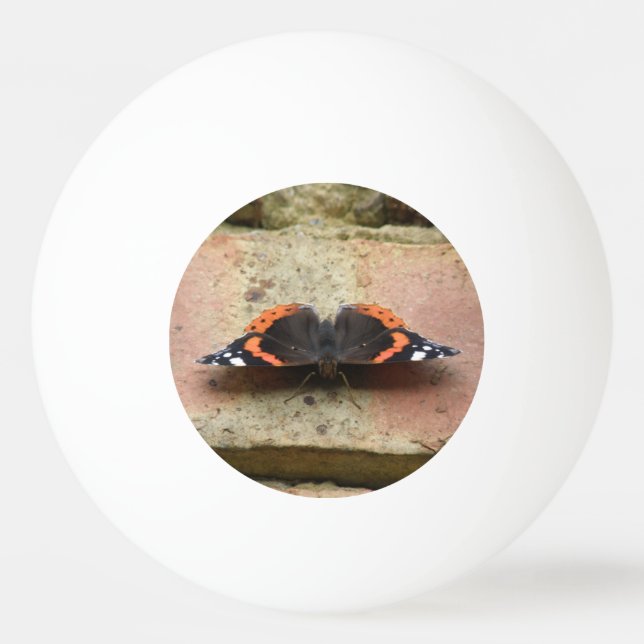 Red Admiral Butterfly Ping Pong Ball (Front)