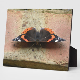 Red Admiral Butterfly Plaque
