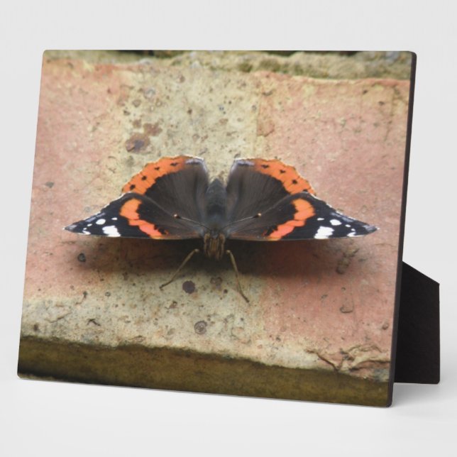 Red Admiral Butterfly Plaque (Side)