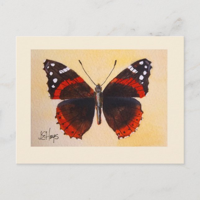 Red Admiral Butterfly Postcard (Front)