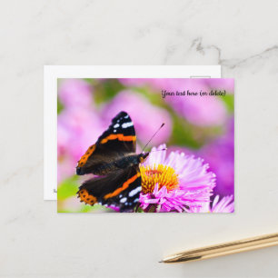 Red Admiral Butterfly Postcard