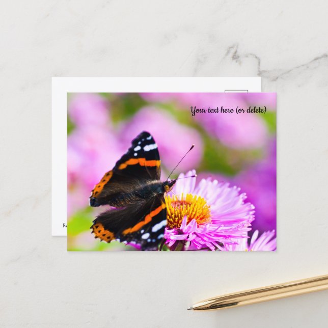 Red Admiral Butterfly Postcard (Front/Back In Situ)