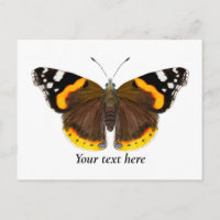 Red Admiral Butterfly Watercolor Art Postcard