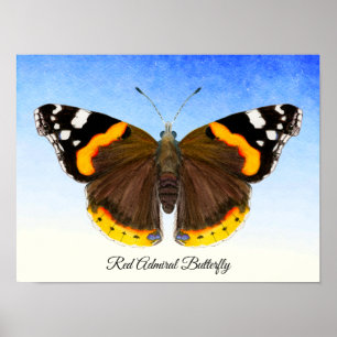 Red Admiral Butterfly Watercolor Painting Poster