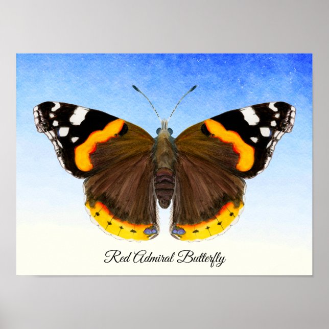 Red Admiral Butterfly Watercolor Painting Poster (Front)