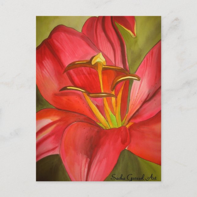 Red Alert Lily watercolor art flower painting Postcard (Front)