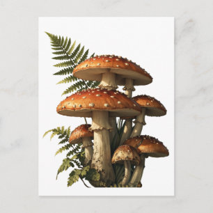 Red Amanita Mushrooms with Fern Botanical Postcard