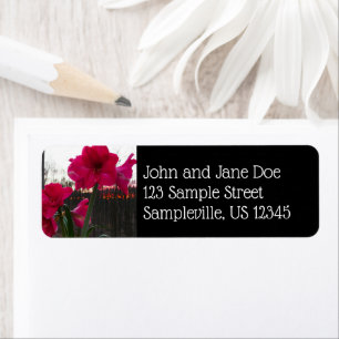 Red Amaryllis and Winter Sunrise Return Address Label