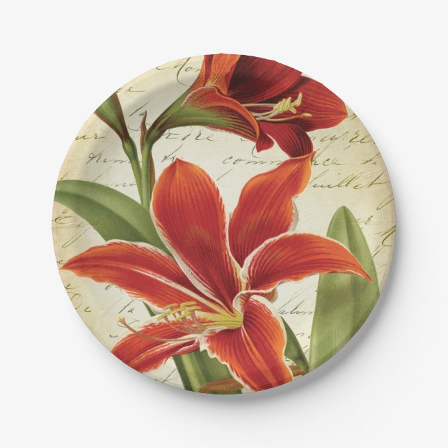Red Amaryllis Christmas Flower Botanical Paper Plate (Front)