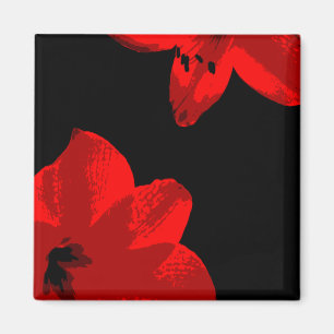 red amaryllis duo magnet
