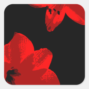red amaryllis duo square sticker