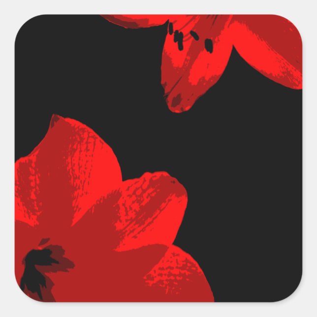 red amaryllis duo square sticker (Front)