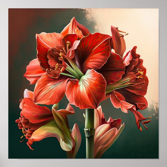 Red Amaryllis Flower Art Print Poster (Front)
