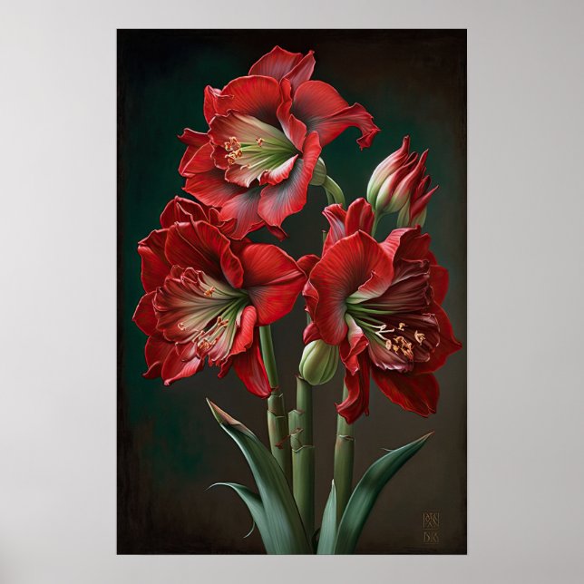 Red Amaryllis Flower Art Print Poster (Front)