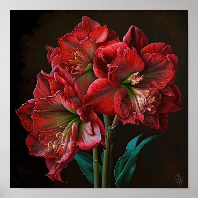 Red Amaryllis Flower Art Print Poster (Front)